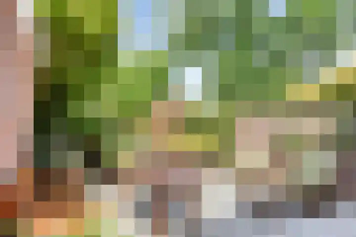Lijsterlaan 26 Eindhoven thumbnail 28