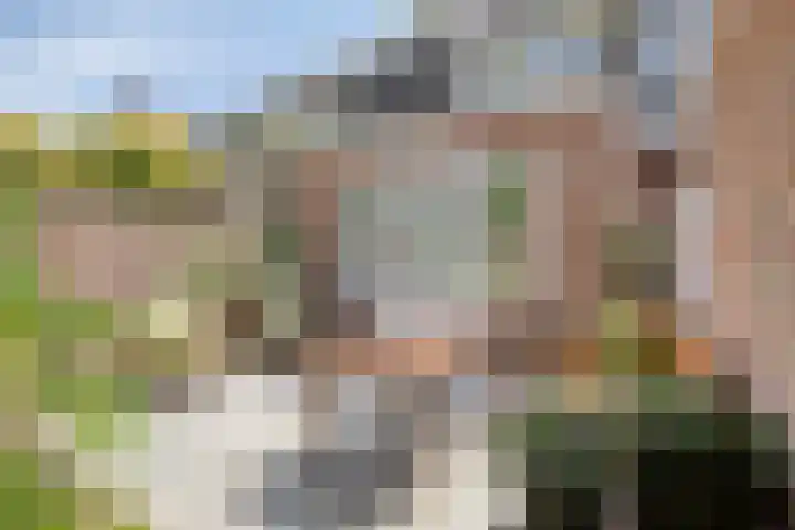 Lijsterlaan 26 Eindhoven thumbnail 29