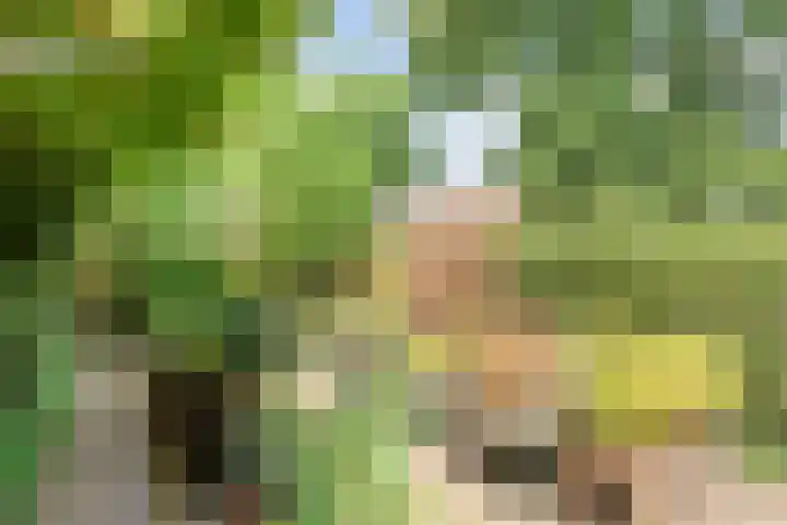 Lijsterlaan 26 Eindhoven thumbnail 30