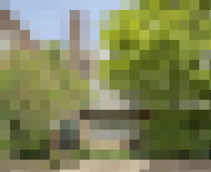 Lijsterlaan 26 Eindhoven thumbnail 37