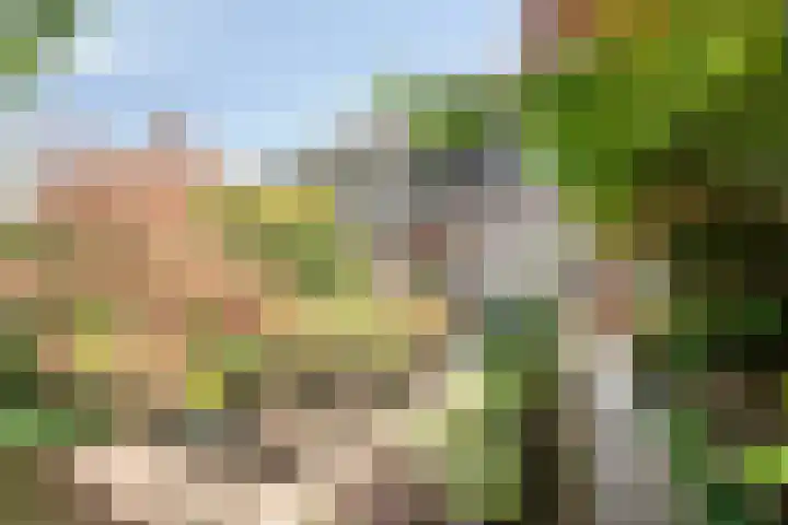 Lijsterlaan 26 Eindhoven thumbnail 4