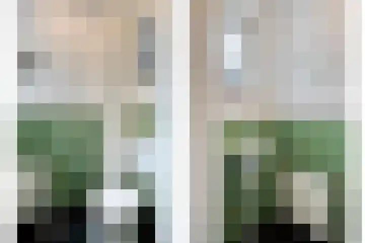 Lijsterlaan 26 Eindhoven thumbnail 6