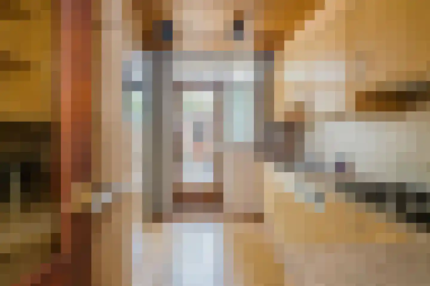 Lijsterlaan 26 Lisse thumbnail 13