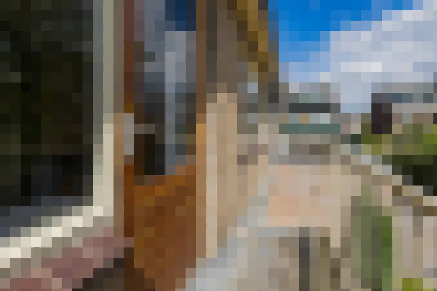 Lijsterlaan 26 Lisse thumbnail 21
