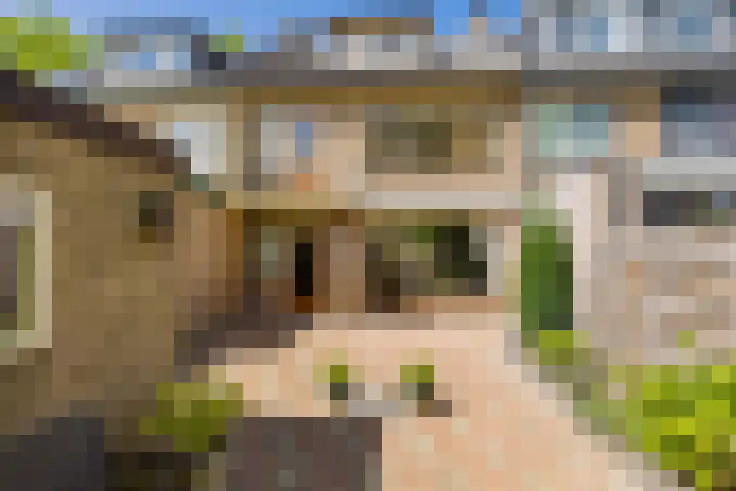 Lijsterlaan 26 Lisse thumbnail 29