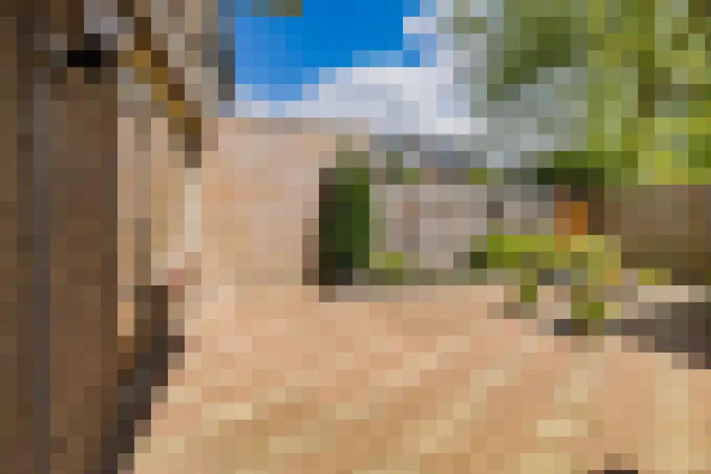 Lijsterlaan 26 Lisse thumbnail 30