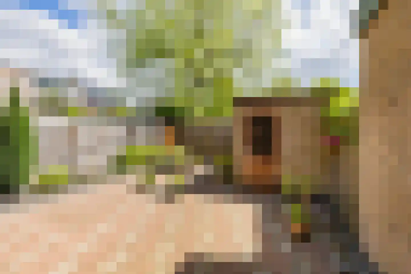 Lijsterlaan 26 Lisse thumbnail 31
