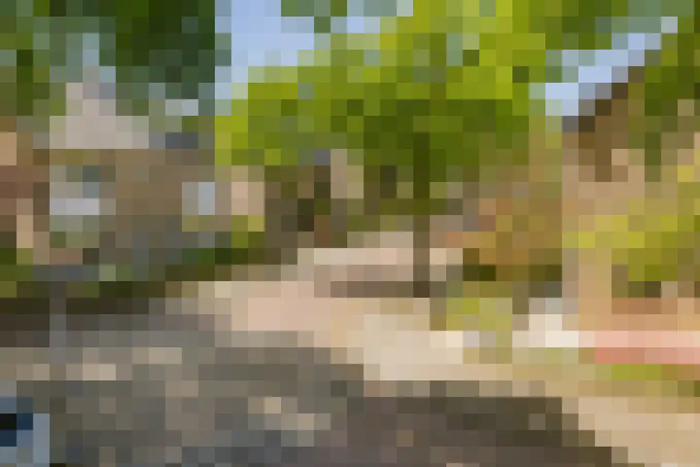 Lijsterlaan 26 Lisse thumbnail 34