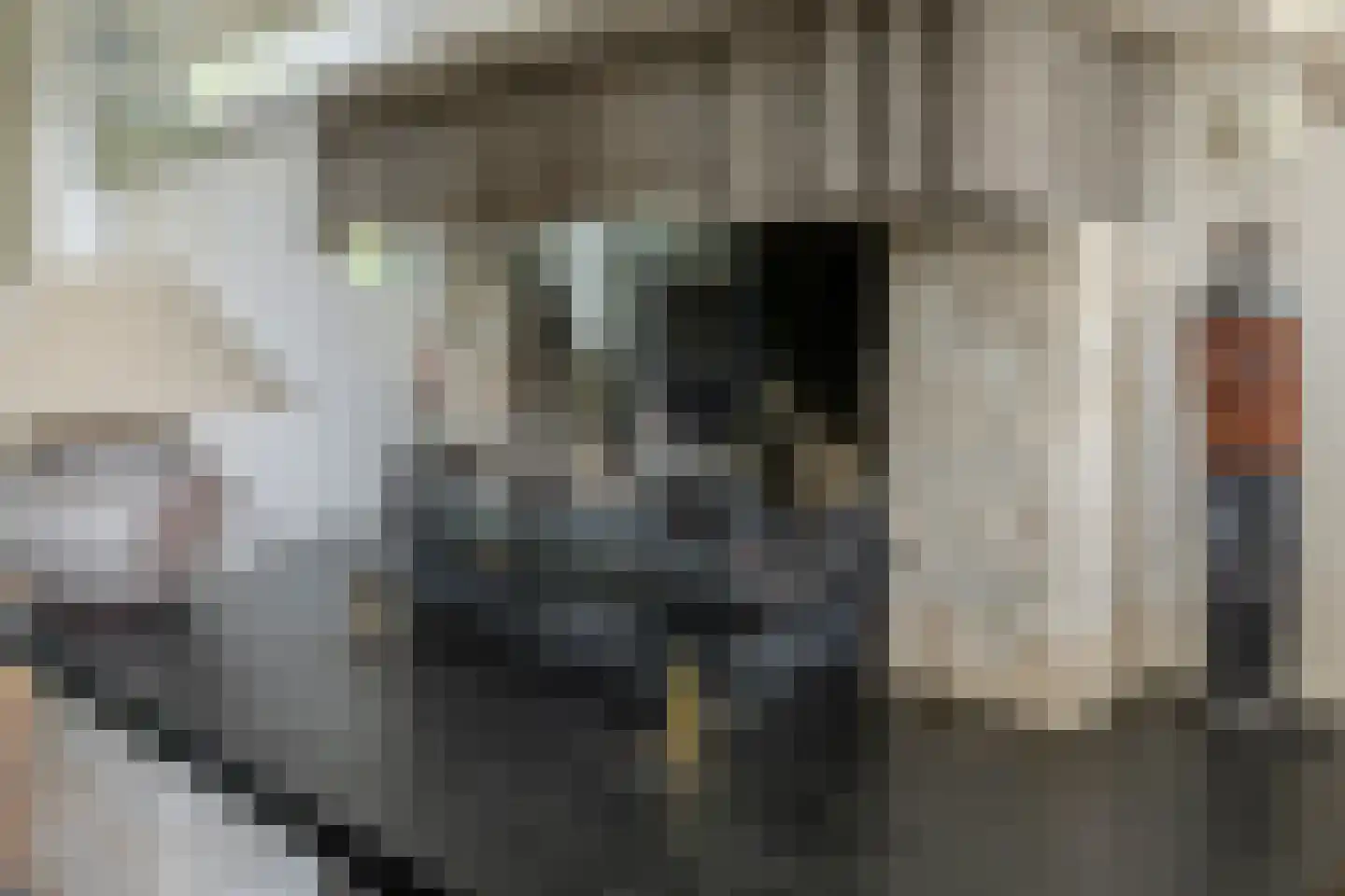 Lijsterlaan 28 Bussum thumbnail 15