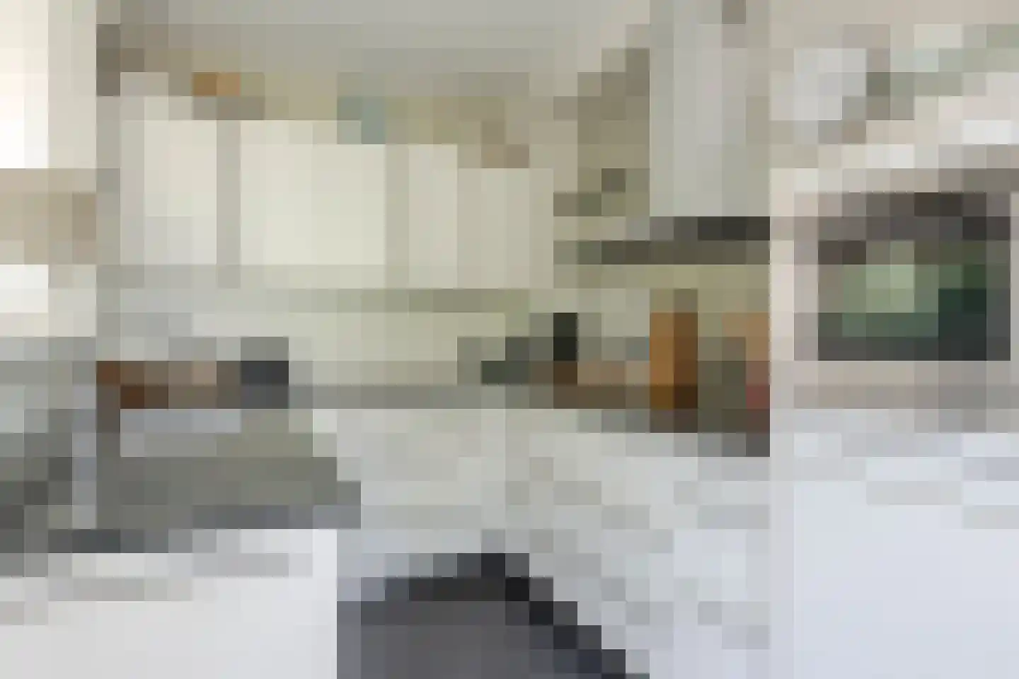 Lijsterlaan 28 Bussum thumbnail 17