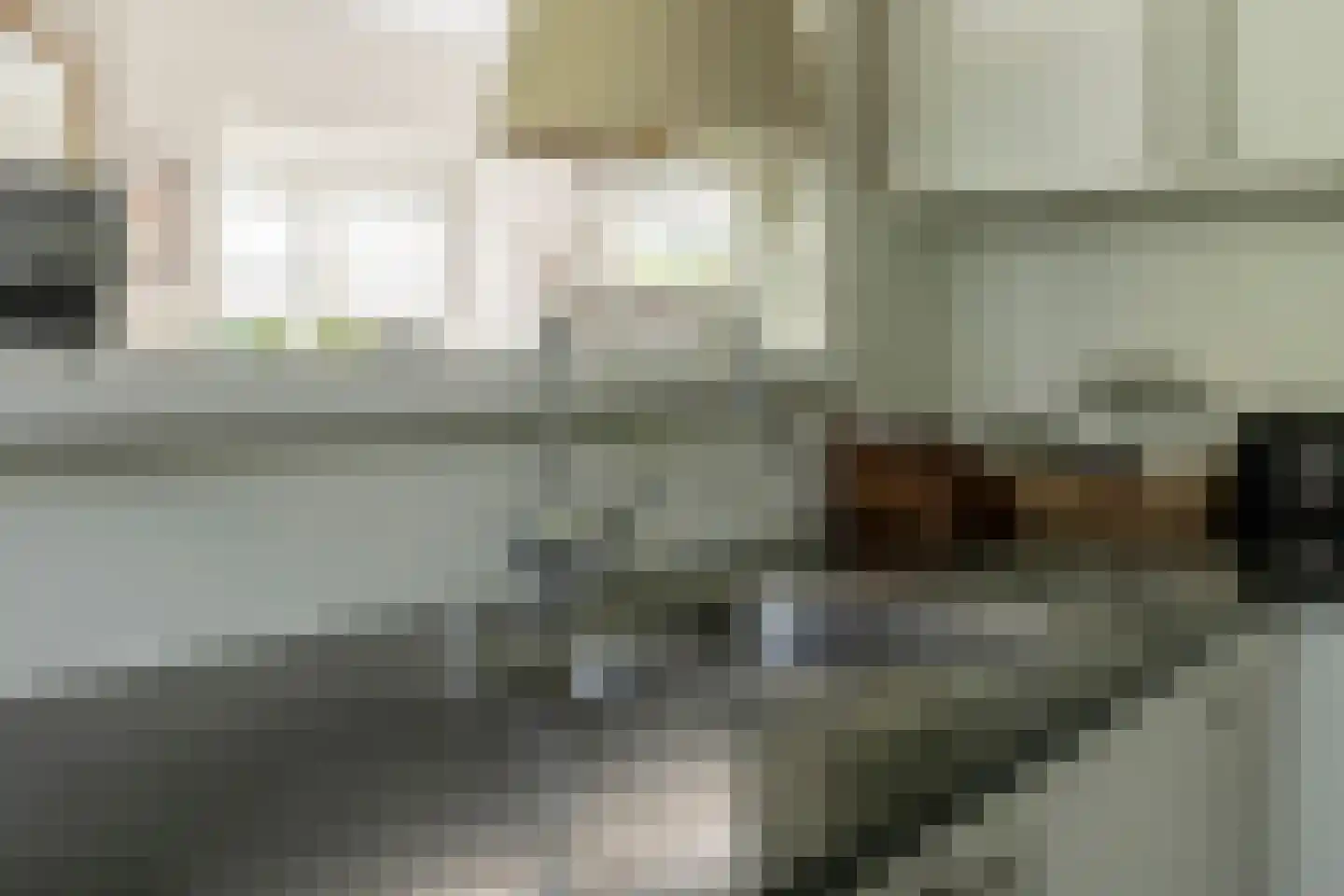 Lijsterlaan 28 Bussum thumbnail 18