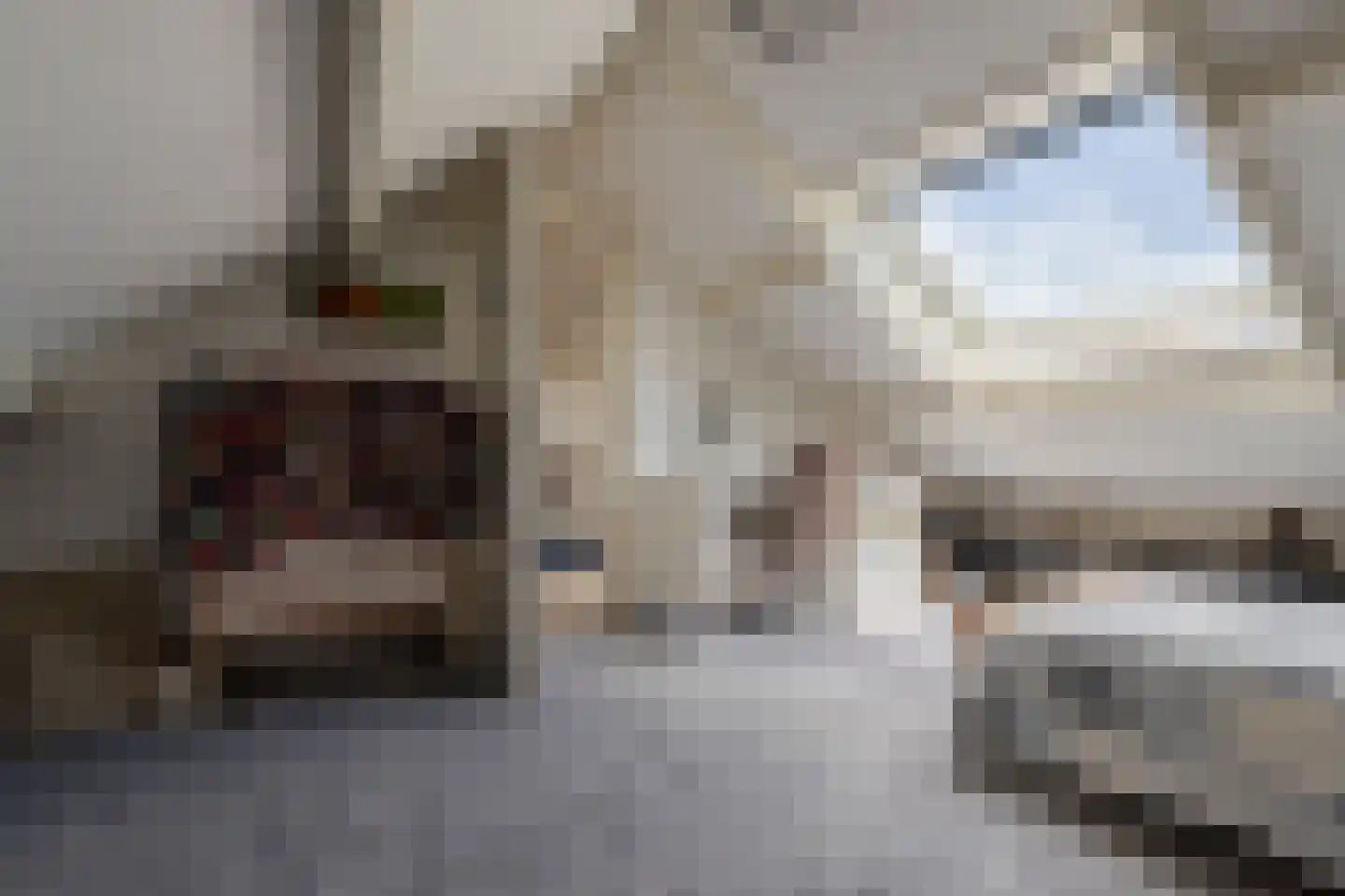 Lijsterlaan 28 Bussum thumbnail 41
