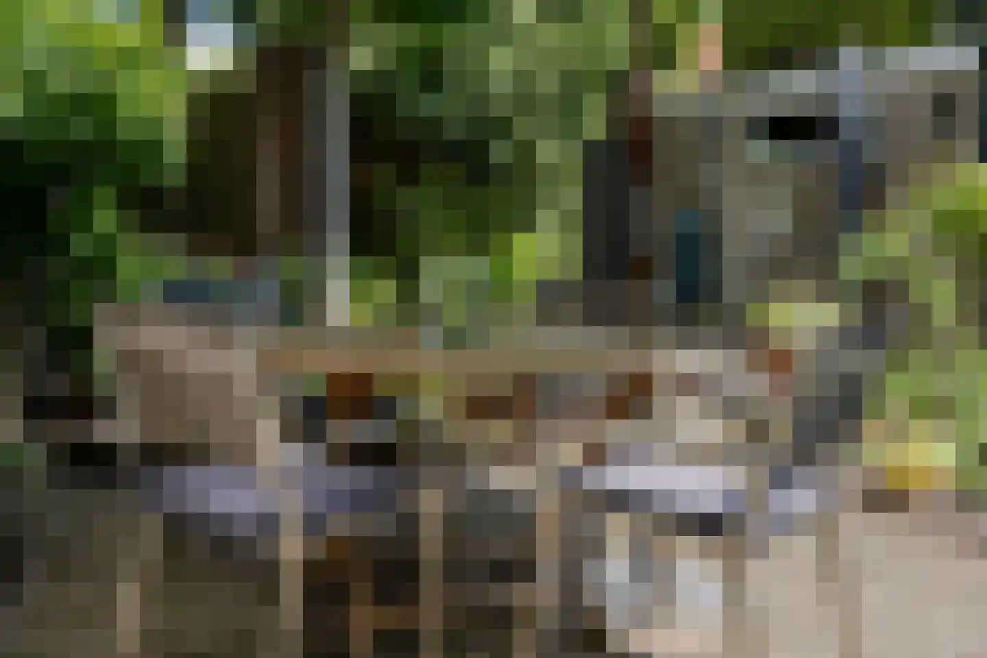 Lijsterlaan 28 Bussum thumbnail 46