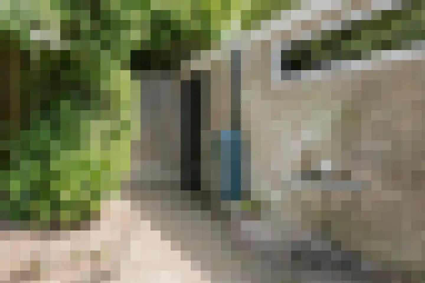 Lijsterlaan 28 Bussum thumbnail 48