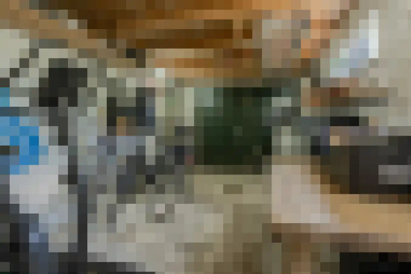 Lijsterlaan 28 Bussum thumbnail 49