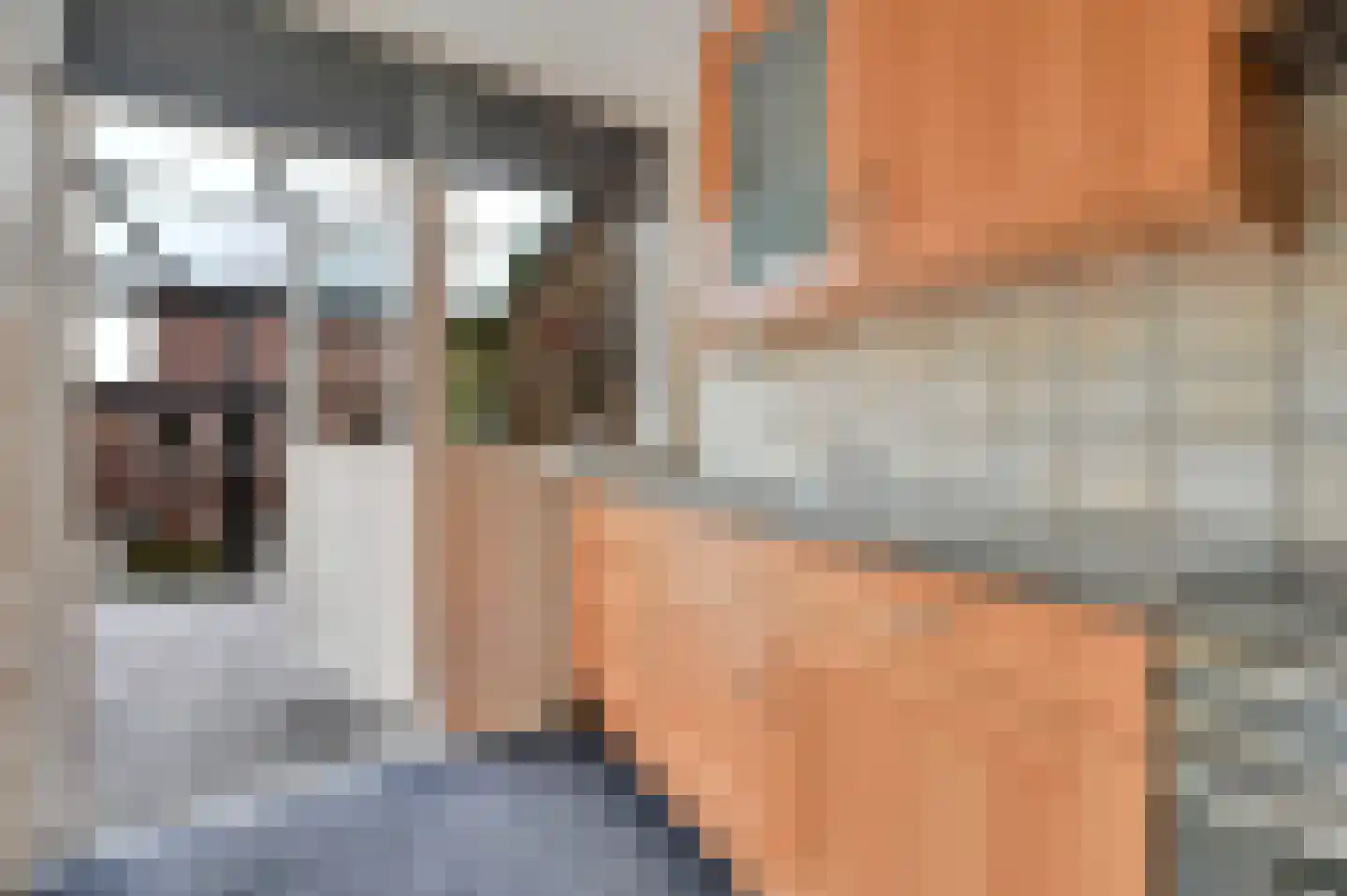 Lijsterlaan 28 Maassluis thumbnail 20