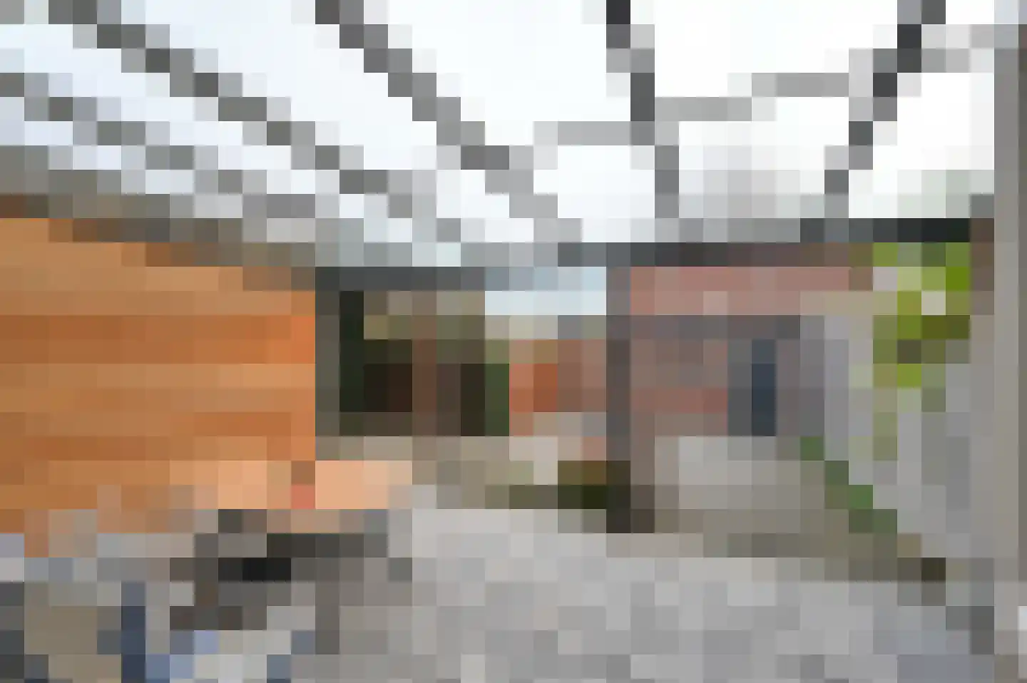 Lijsterlaan 28 Maassluis thumbnail 21