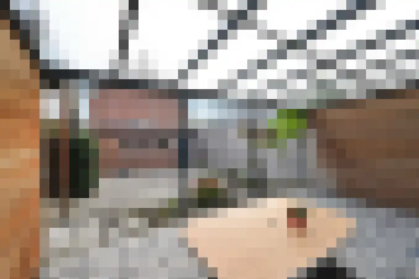 Lijsterlaan 28 Maassluis thumbnail 22