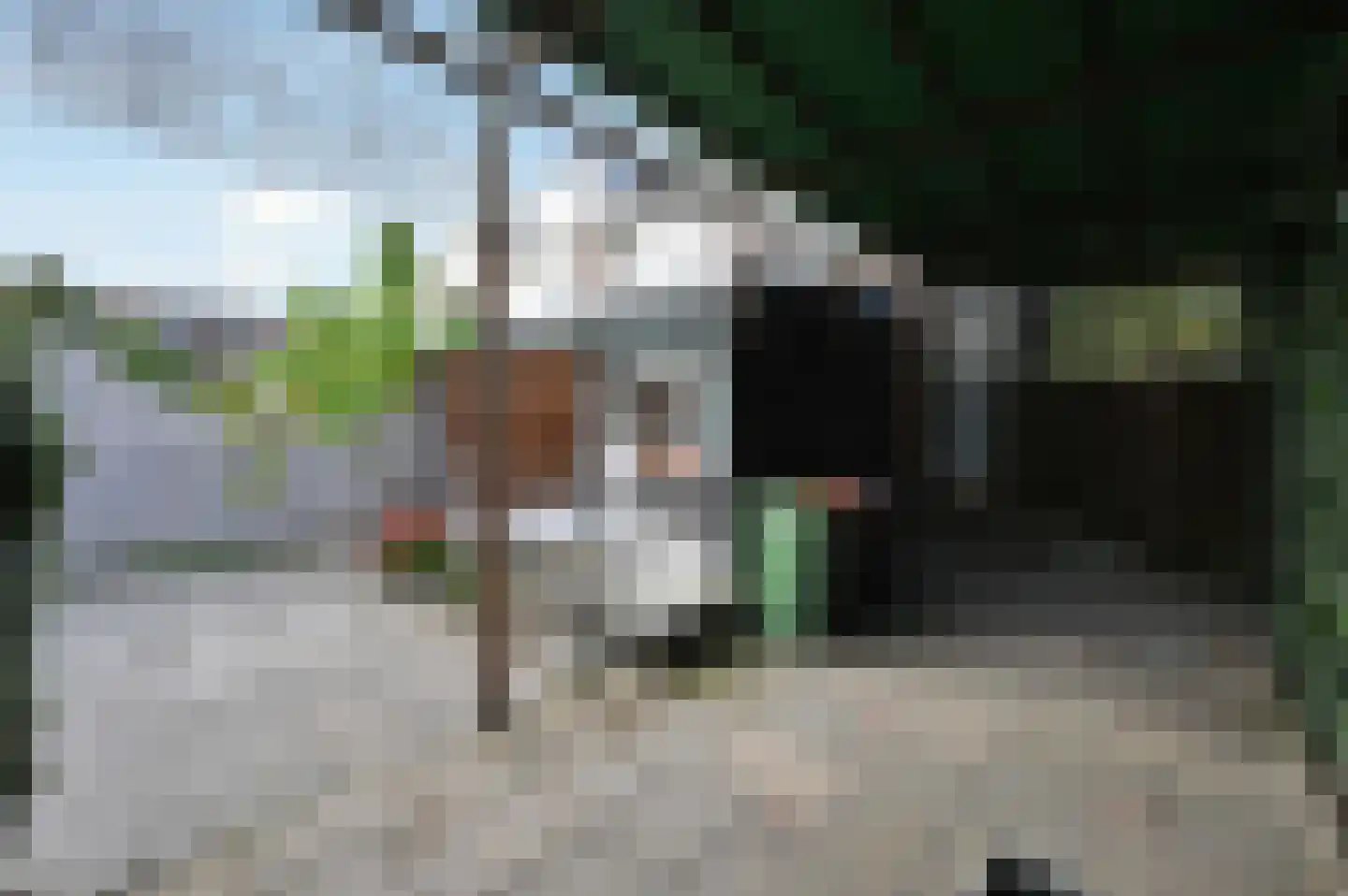 Lijsterlaan 28 Maassluis thumbnail 23