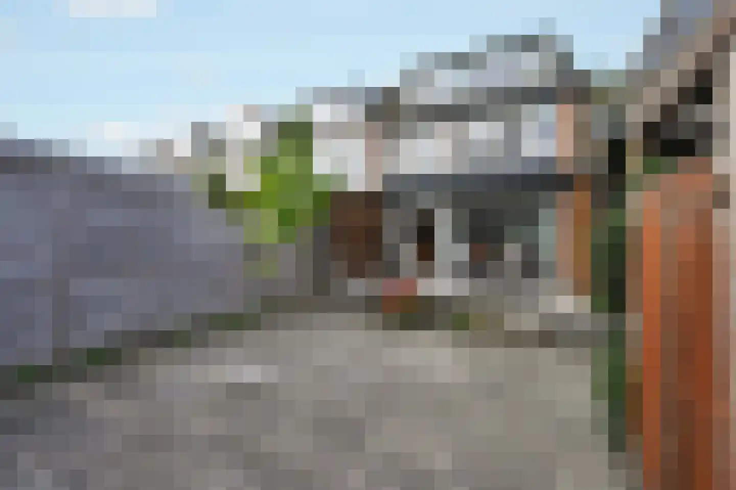 Lijsterlaan 28 Maassluis thumbnail 25