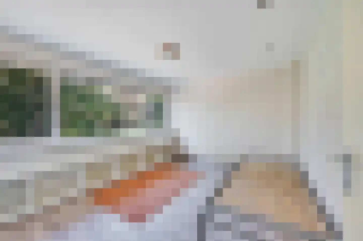 Lijsterlaan 28 Maassluis thumbnail 48