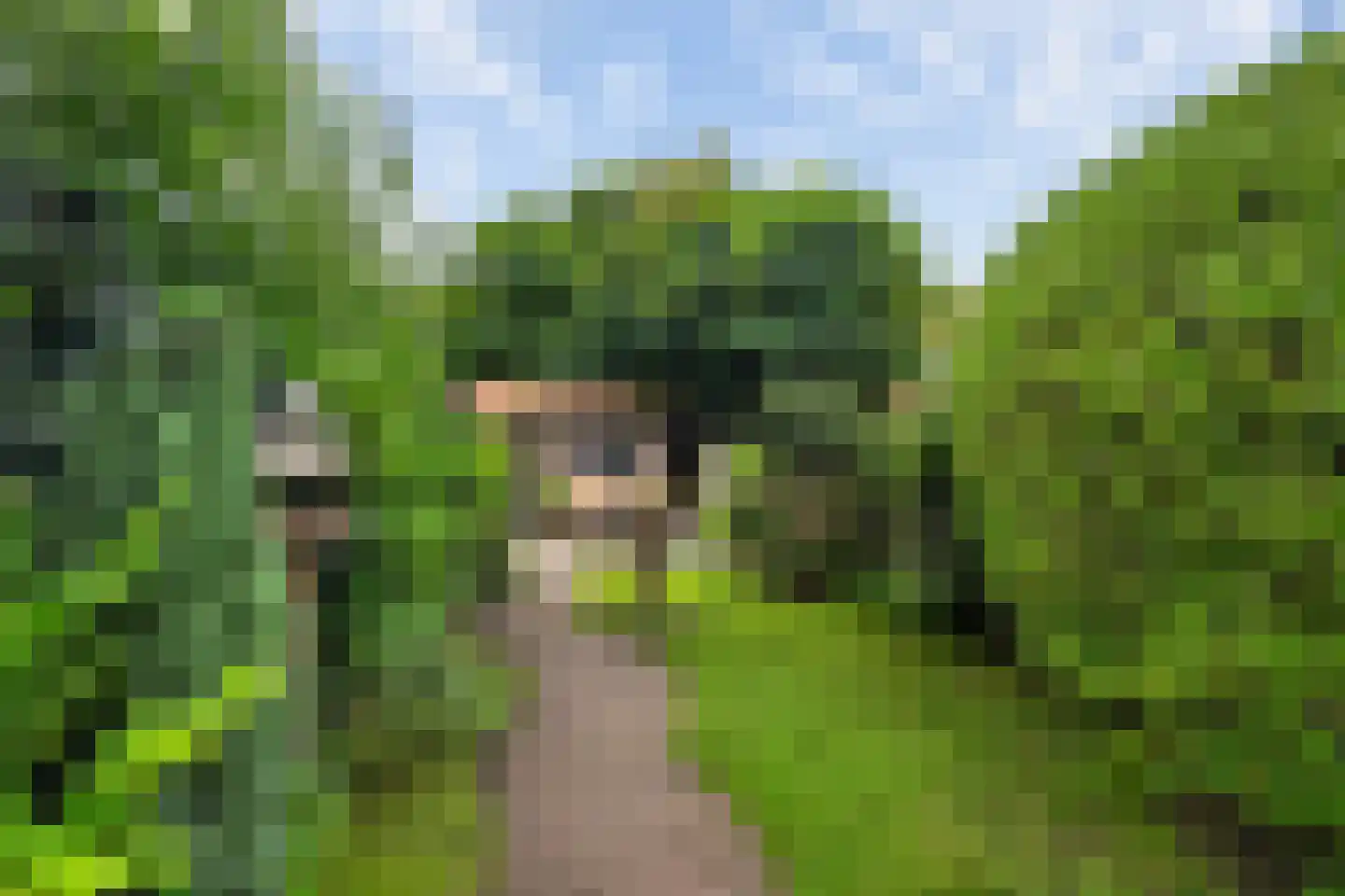 Lijsterlaan 28 Vlaardingen thumbnail 17