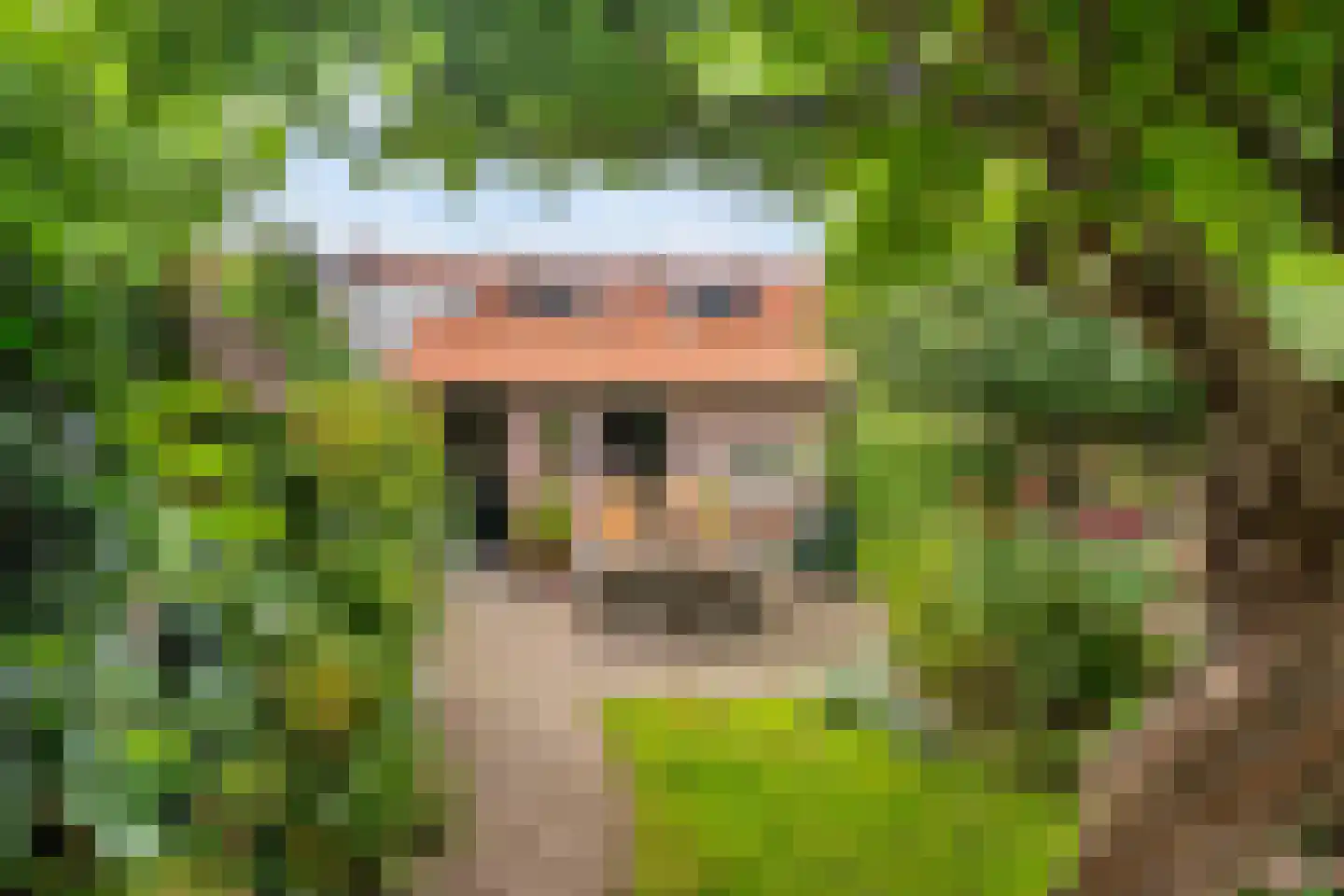 Lijsterlaan 28 Vlaardingen thumbnail 18