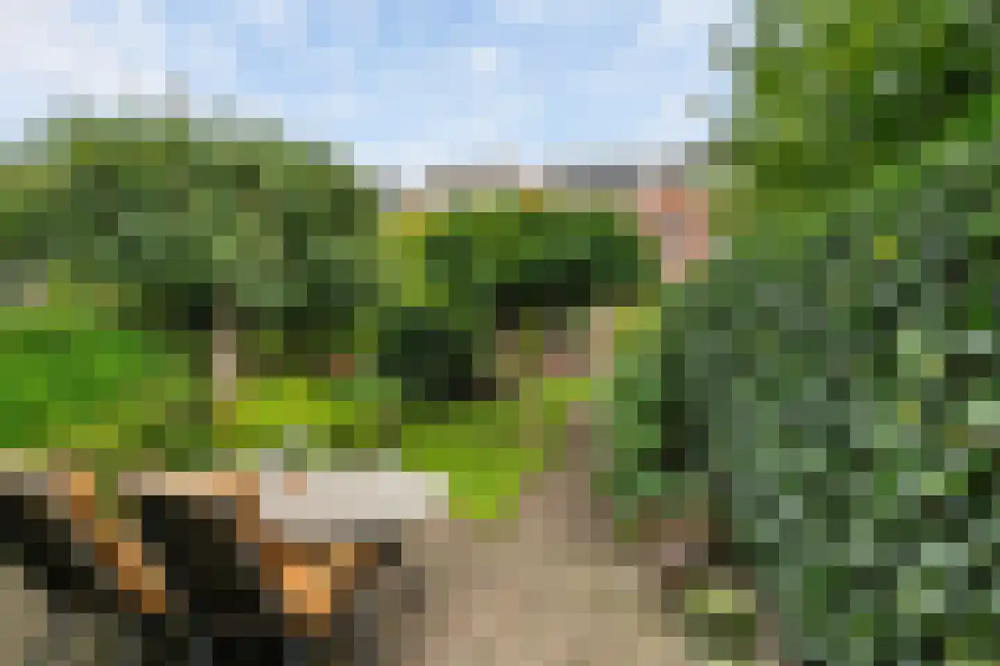 Lijsterlaan 28 Vlaardingen thumbnail 19