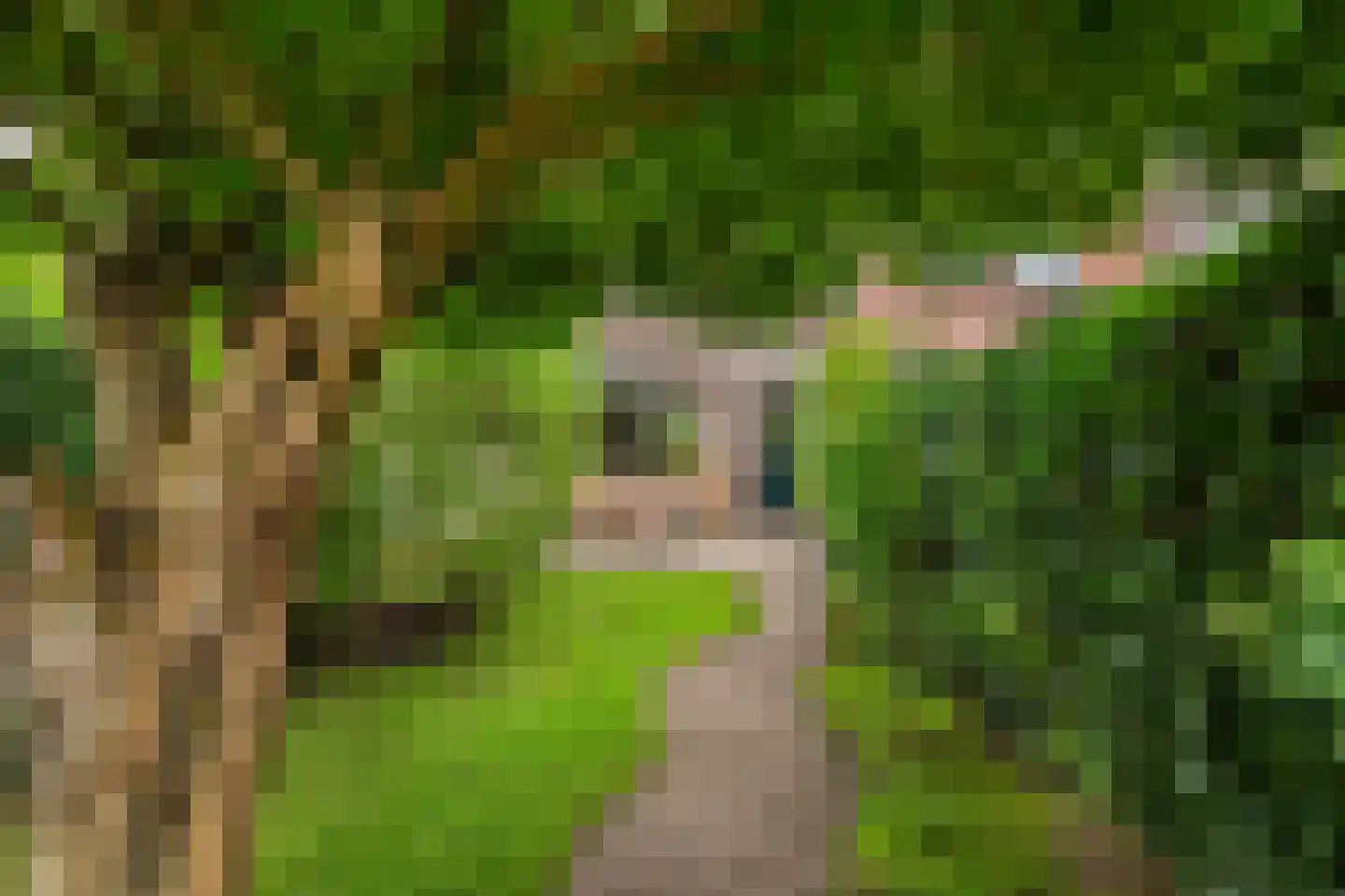 Lijsterlaan 28 Vlaardingen thumbnail 20