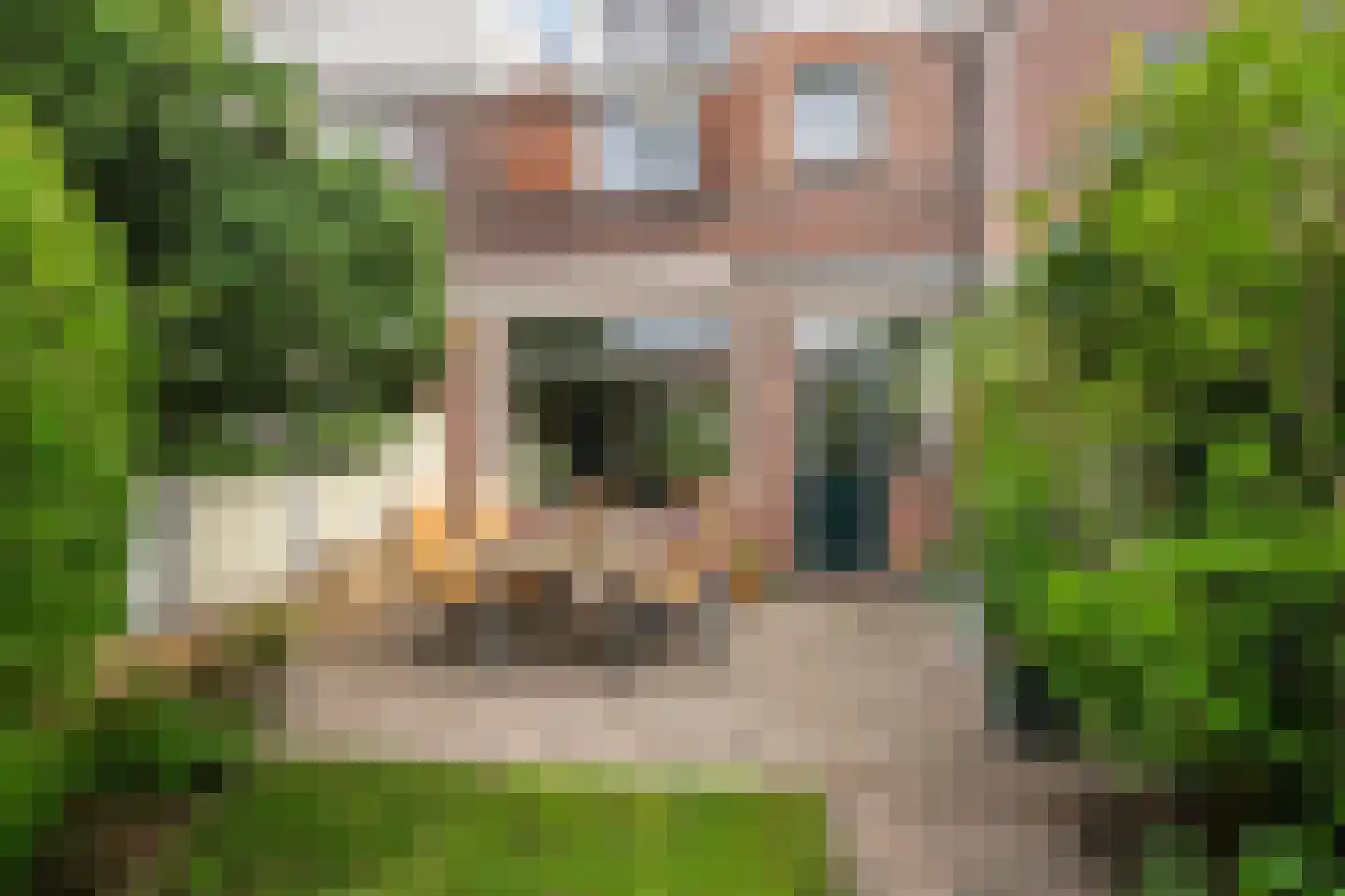 Lijsterlaan 28 Vlaardingen thumbnail 21