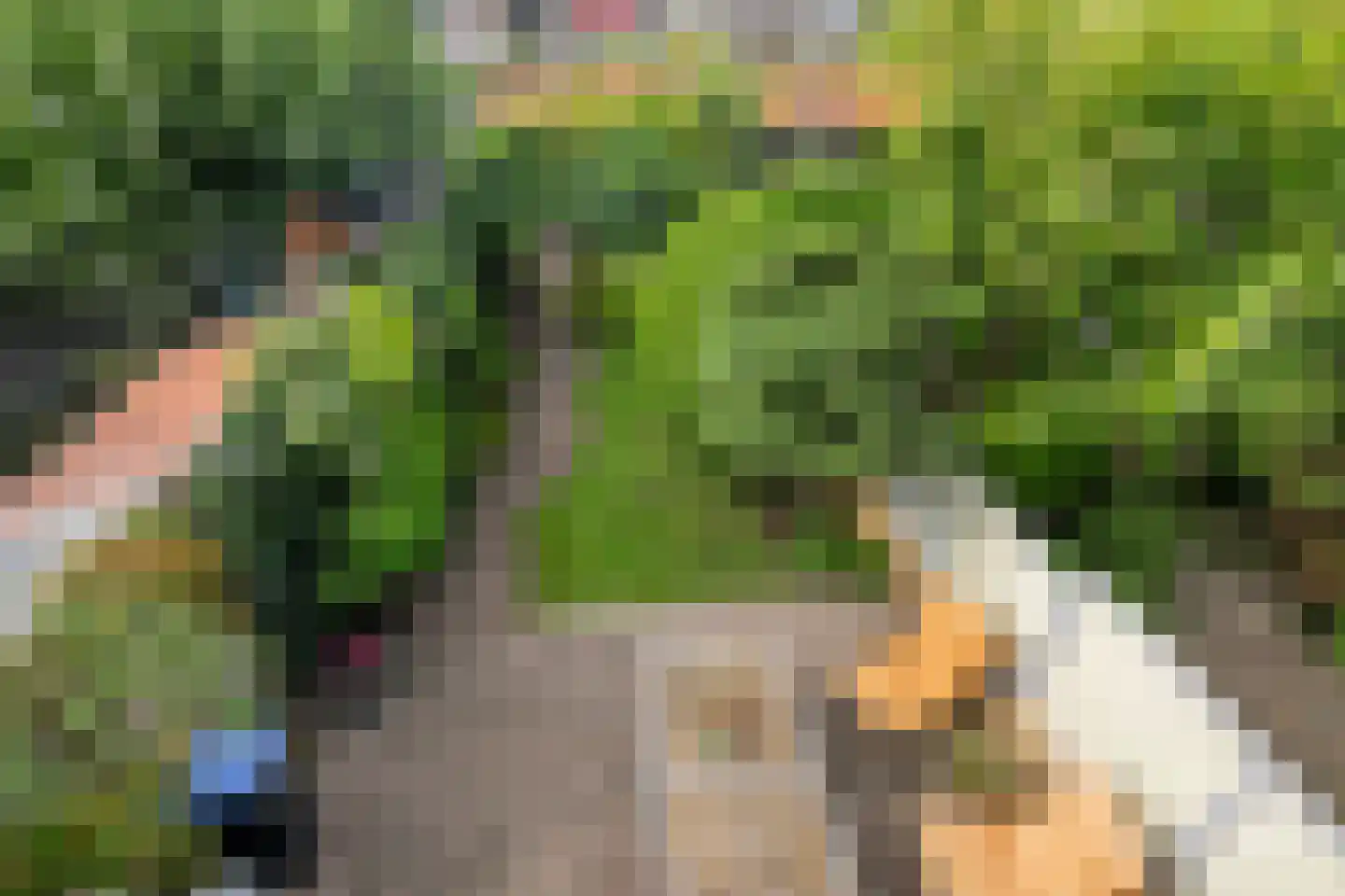 Lijsterlaan 28 Vlaardingen thumbnail 29