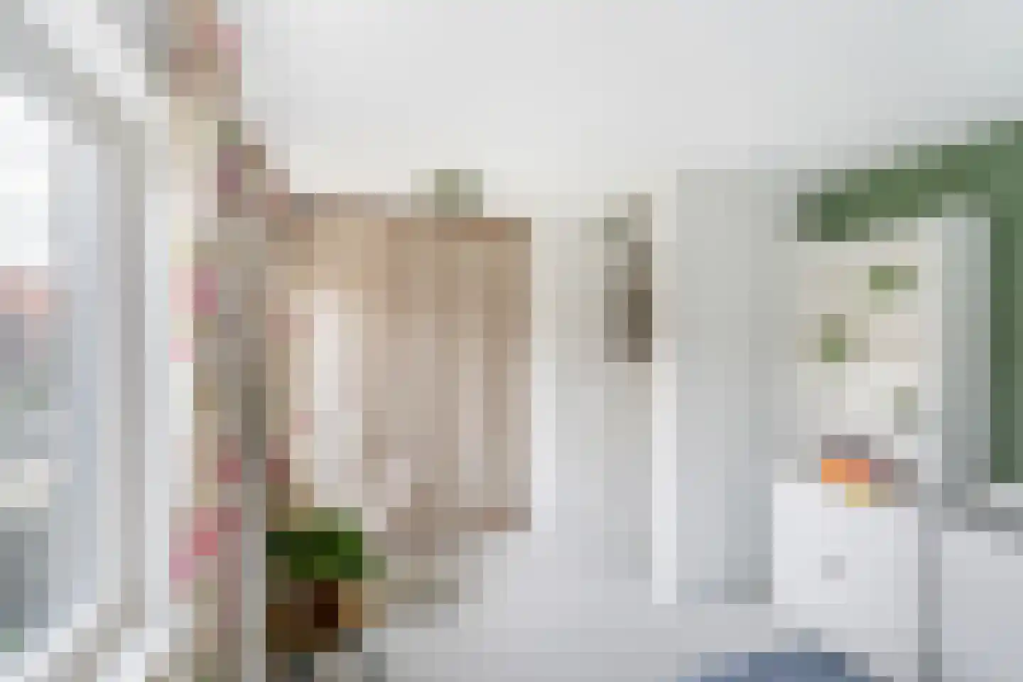 Lijsterlaan 28 Vlaardingen thumbnail 33
