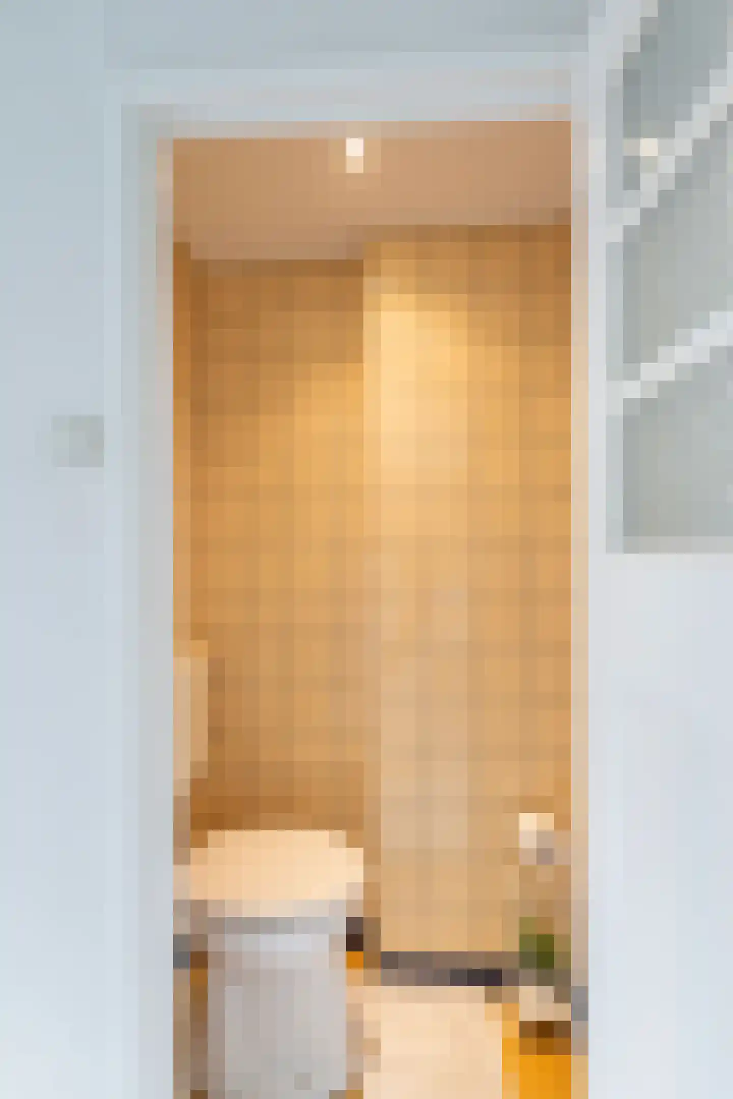 Lijsterlaan 28 Vlaardingen thumbnail 38