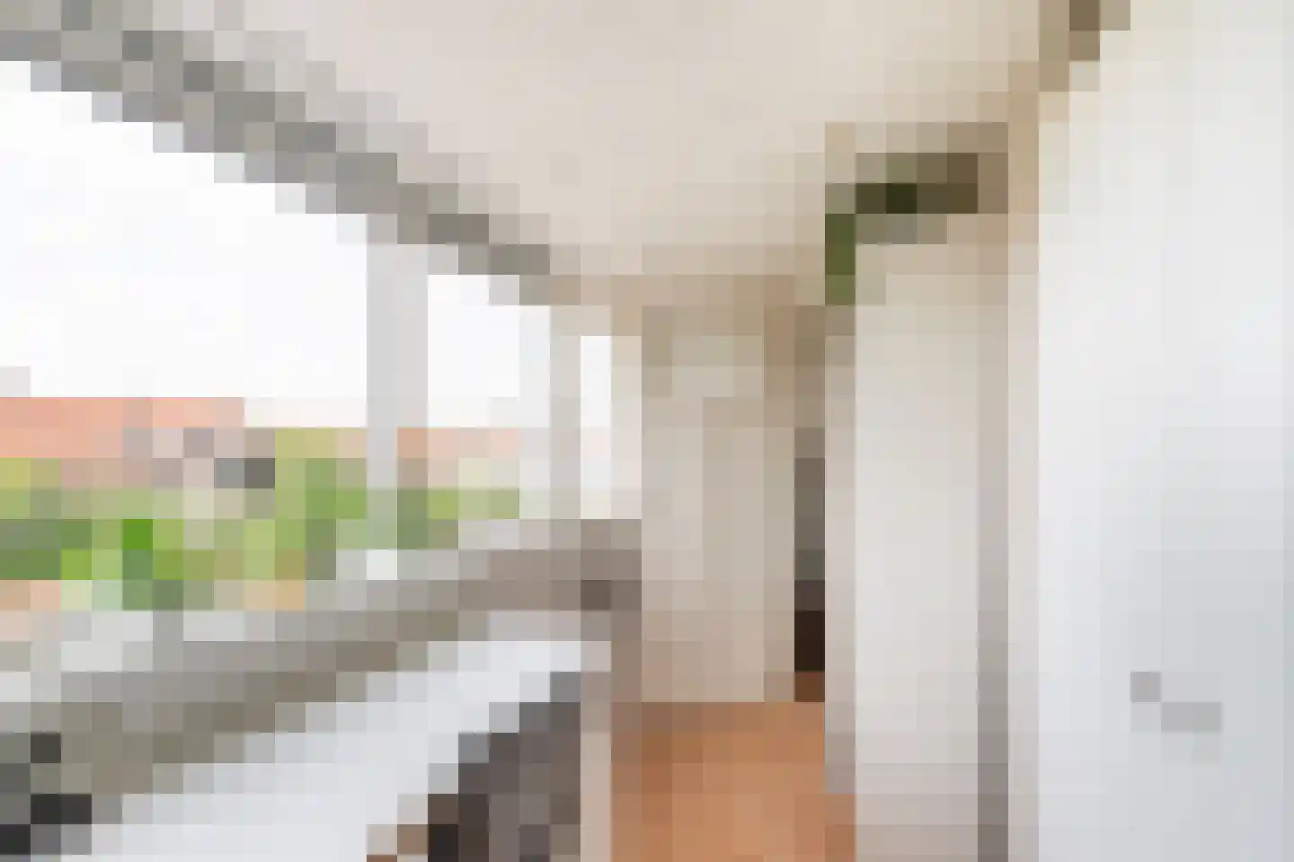 Lijsterlaan 28 Vlaardingen thumbnail 43