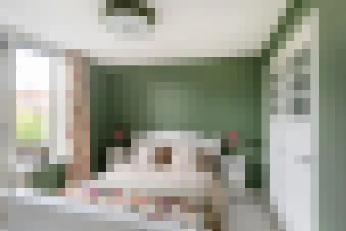 Lijsterlaan 28 Vlaardingen thumbnail 5
