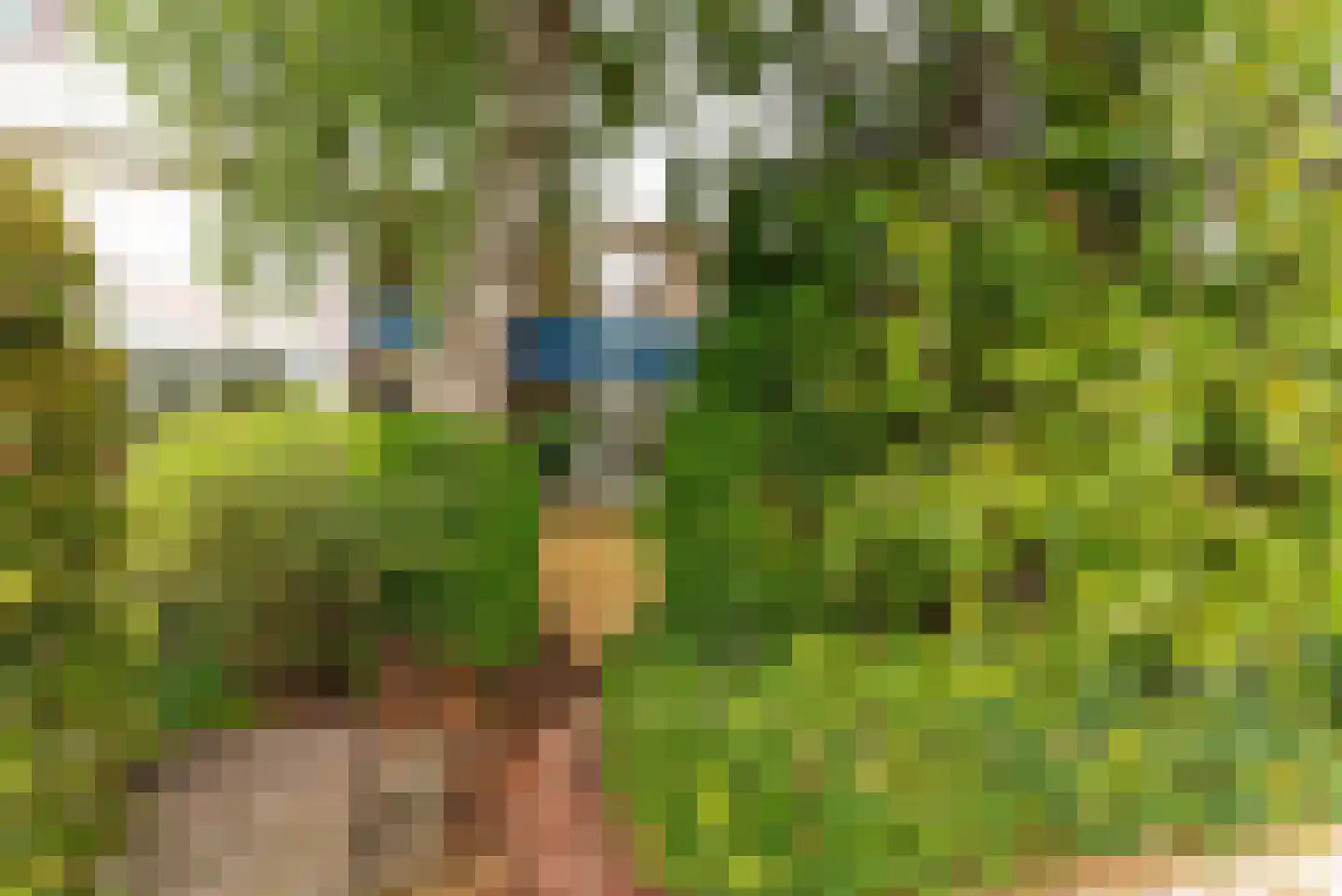 Lijsterlaan 29 Bussum thumbnail 25