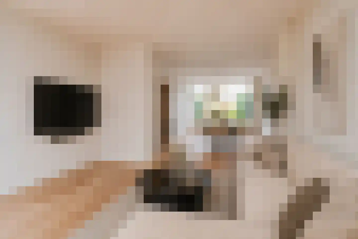 Lijsterlaan 29 Bussum thumbnail 7