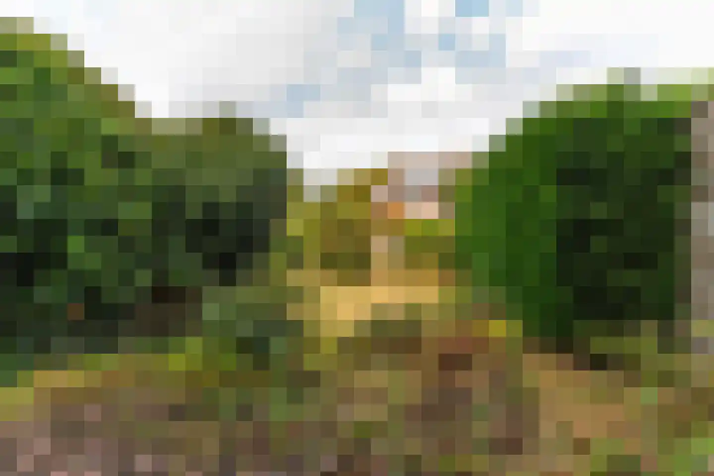 Lijsterlaan 29 Bussum thumbnail 9