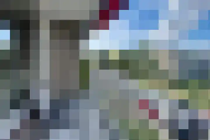 Lijsterlaan 291 Bussum thumbnail 11