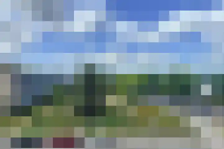 Lijsterlaan 291 Bussum thumbnail 12