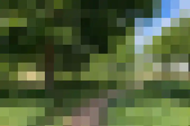 Lijsterlaan 291 Bussum thumbnail 13