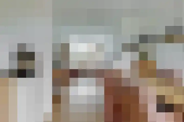 Lijsterlaan 3 IJmuiden thumbnail 10
