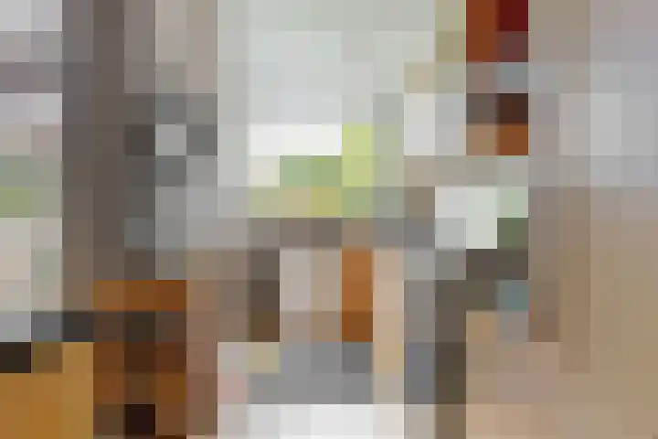 Lijsterlaan 3 IJmuiden thumbnail 13