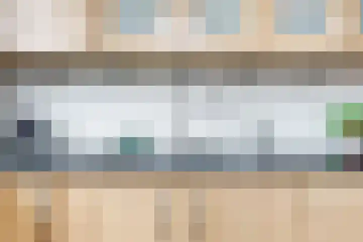 Lijsterlaan 3 IJmuiden thumbnail 14