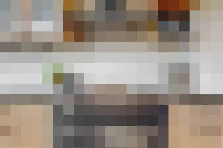 Lijsterlaan 3 IJmuiden thumbnail 15
