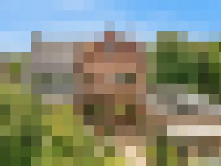 Lijsterlaan 3 IJmuiden thumbnail 16