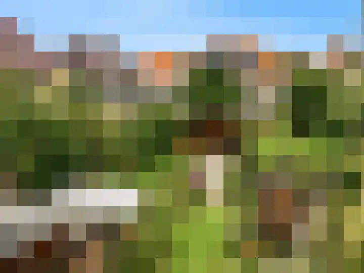 Lijsterlaan 3 IJmuiden thumbnail 17