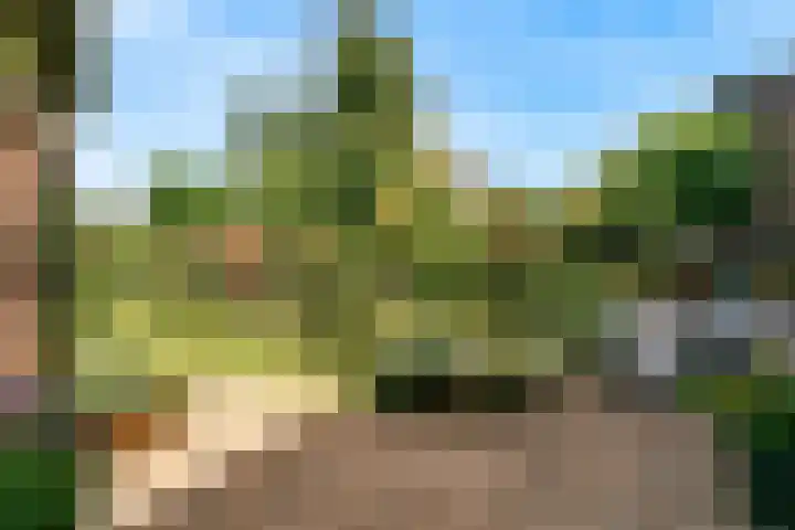 Lijsterlaan 3 IJmuiden thumbnail 18