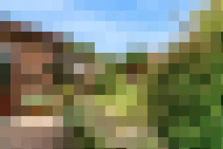 Lijsterlaan 3 IJmuiden thumbnail 19