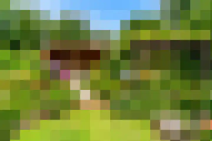 Lijsterlaan 3 IJmuiden thumbnail 20